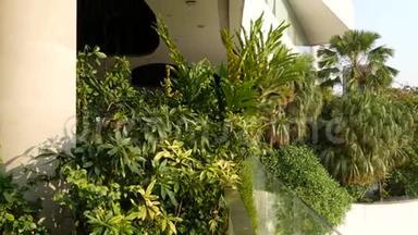 绿色环保理念下的商场设计。露台上的露天花园。未来生态